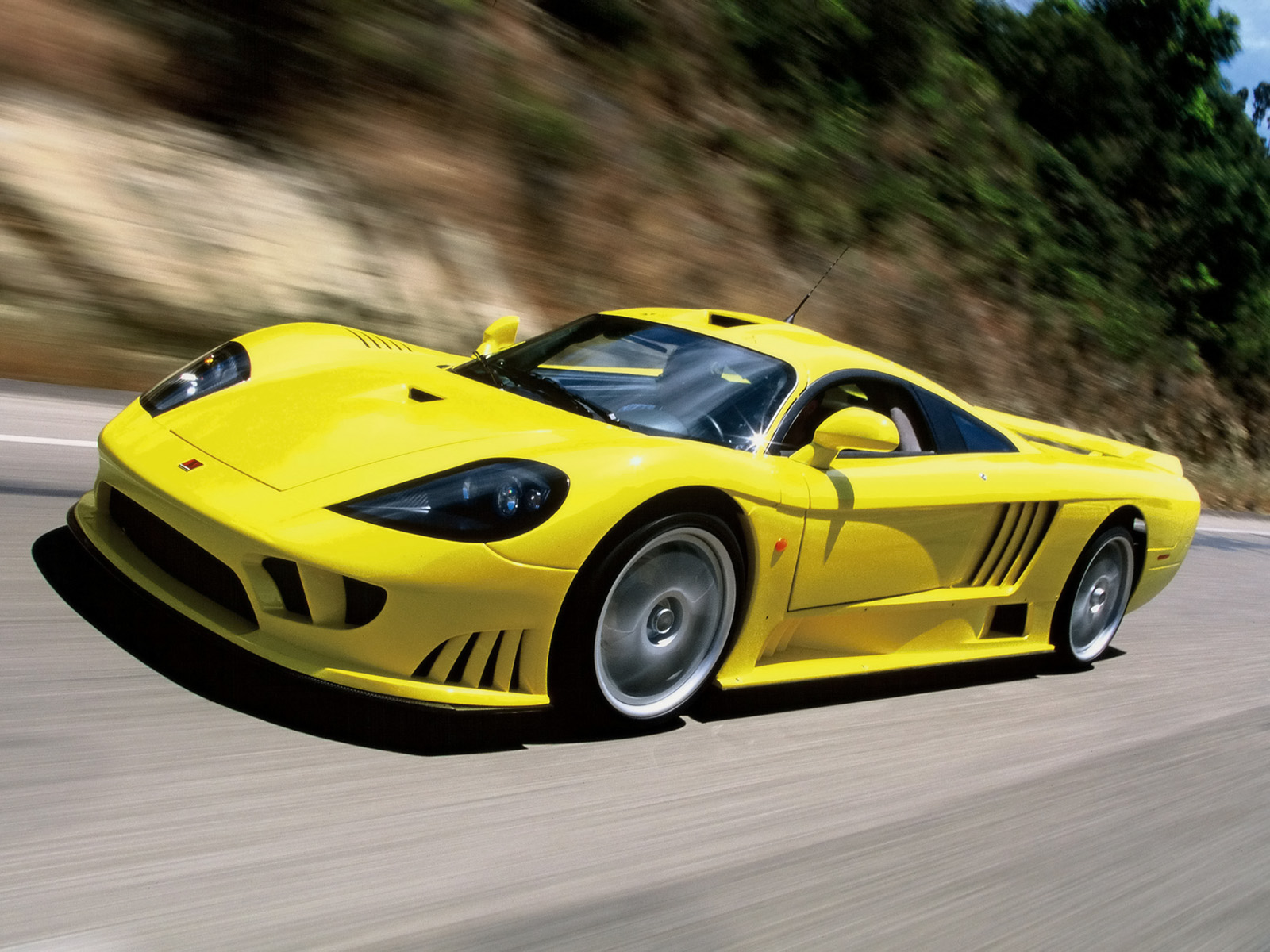 Saleen: 9 фото