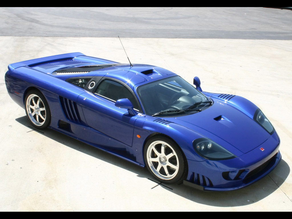 Saleen: 10 фото