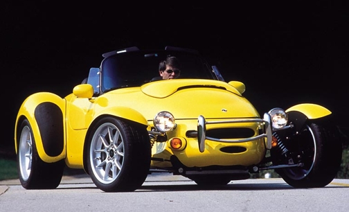 Panoz Roadster: 11 фото